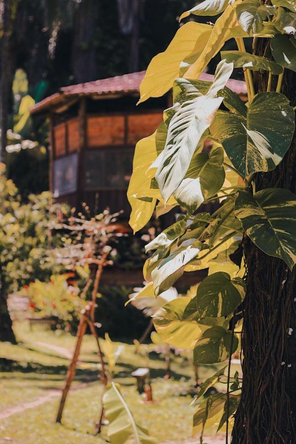 Hostel Casa Conduru Itacaré Exteriér fotografie